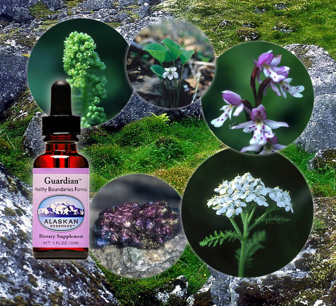 March 2020 – Essences for Energetic Hygiene and Protection