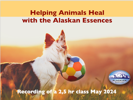 Helping Animals Heal with the Alaskan Essences