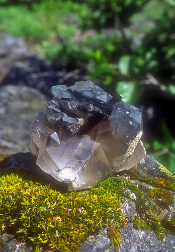 Black Tourmaline/Master Quartz