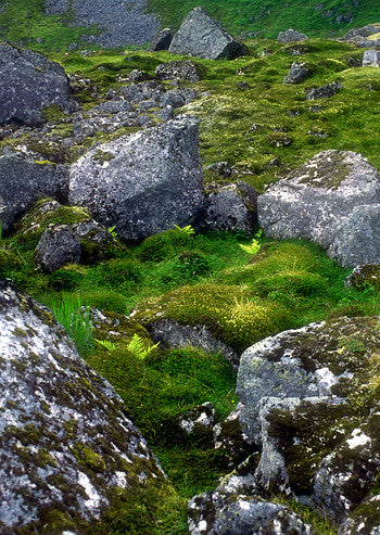 Stone Circle